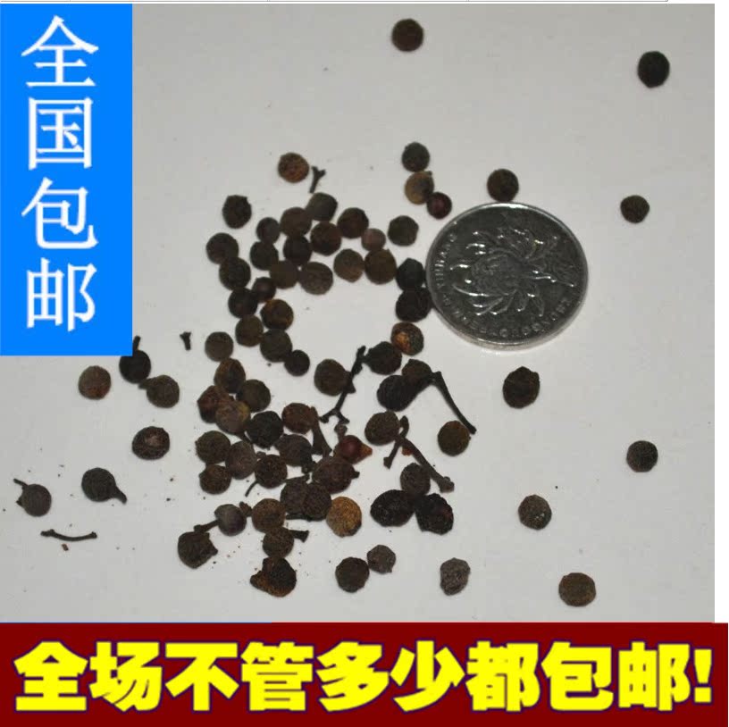 毕橙茄16 盆栽室内苗花卉 阳台花 观花植物