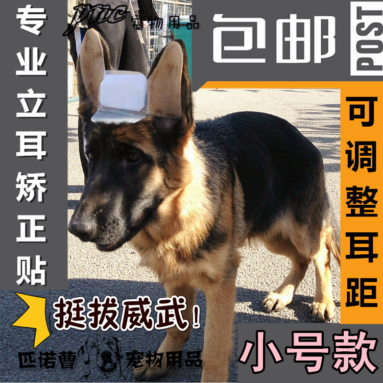 德牧莱州红柯基哈士奇马犬黑背狼青耳托胶水幼犬狗立耳贴矫正支架