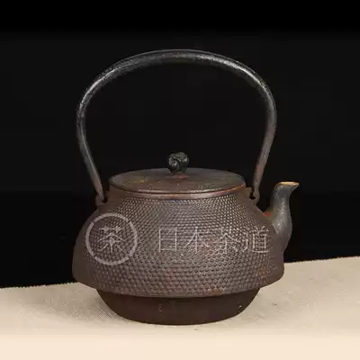 Japanese Iron Shoutang made fine-grained Mashan-shaped fruit picking old iron pot
