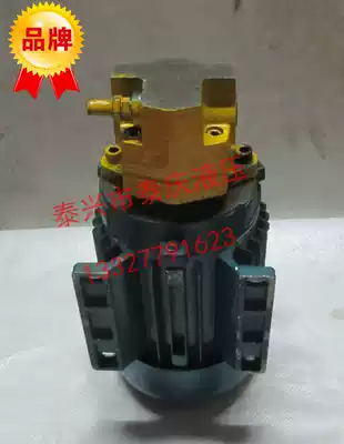 Cycloid gear oil pump motor group bb-b2 5Y 4Y 6Y 10Y 16Y 25Y with safety valve pressure regulating valve