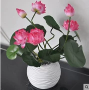 Mô phỏng hoa sen cho sàn phòng khách hoa giả hoa nhựa Juanhua Ưu đãi đặc biệt 3 que - Hoa nhân tạo / Cây / Trái cây