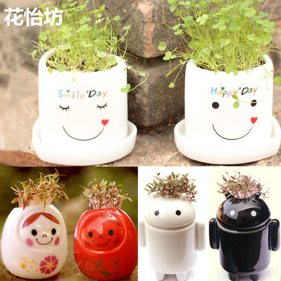 DIY创意情侣礼品植物 幸运天使负离子植栽 陶瓷娃娃传爱小精灵