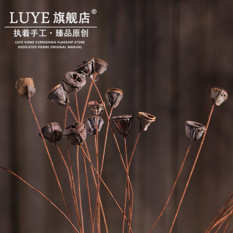 luye��Ȼ�ɻ� ����