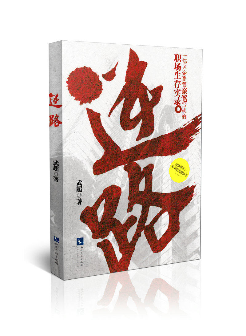 逆路—一部民企高管亲笔写就的职场生存实录