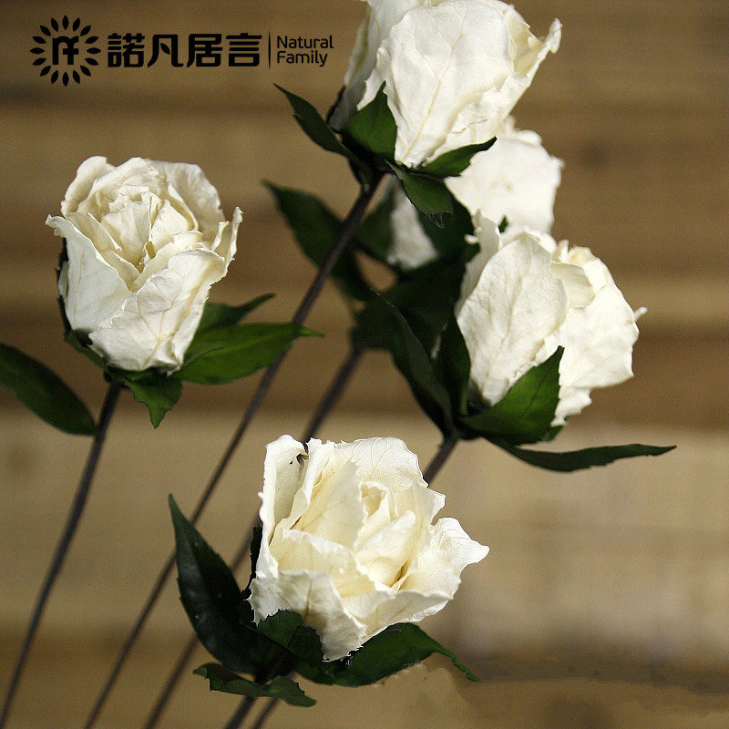 ŵ������װ�λ��ٻ�