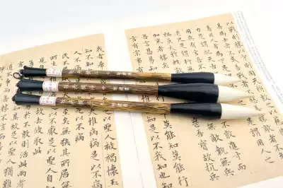 Zou Jianyong Pu Zhuang self-made brush peony to fight large and medium-sized (Peony Yangzhe calligraphy and painting Chinese painting rendering bucket pen)
