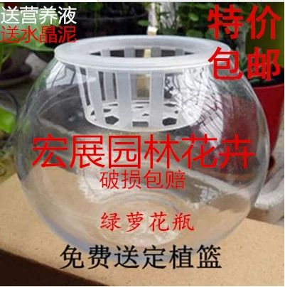 Phòng khách thủy sinh cây hoa thủy canh lọ hoa thủy tinh trong suốt màu xanh lá cây thì là xanh lớn bóng tròn dày đồ dùng bể cá - Vase / Bồn hoa & Kệ