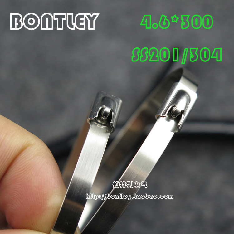 SS201 304 tie metal marine stainless steel tie 4 6*300
