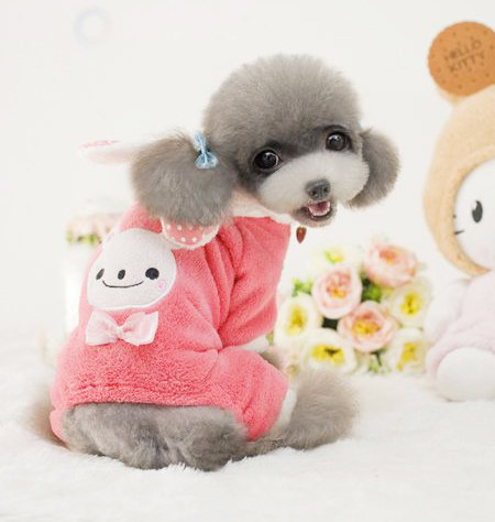 Special ~ cute rabbit pet four-legged clothes dog Teddy Yorkshire clothes autumn and winter clothes four-legged clothes