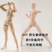 SHF vóc dáng nam nữ da màu xám phác họa nghệ thuật vẽ chung mô hình bàn tay di chuyển - Capsule Đồ chơi / Búp bê / BJD / Đồ chơi binh sĩ