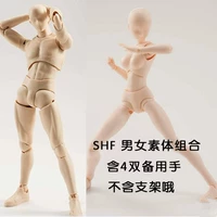 SHF vóc dáng nam nữ da màu xám phác họa nghệ thuật vẽ chung mô hình bàn tay di chuyển - Capsule Đồ chơi / Búp bê / BJD / Đồ chơi binh sĩ bê barbie