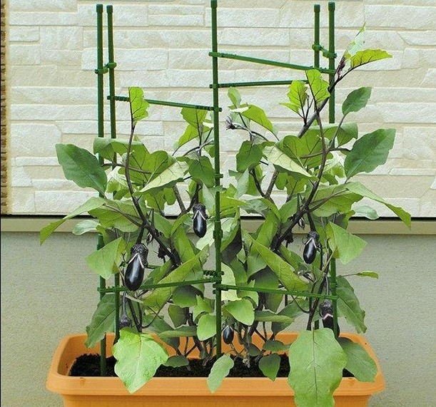 Gardening bracket tomato rack cucumber rack climbing rattan fruit and vegetable climbing rack free combination bracket wishbone accessories