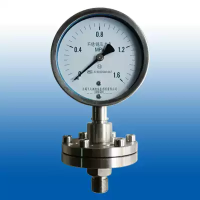 FTYLB Wuxi Feitian Factory Direct Y100BFML Stainless Steel Threaded Diaphragm Pressure Gauge