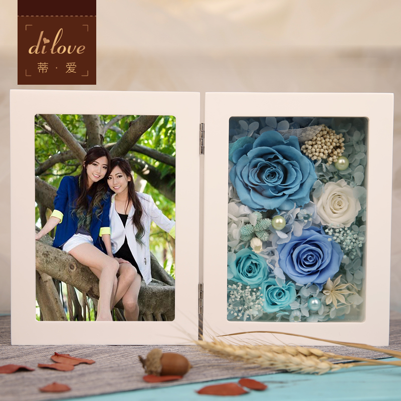 �ٰ����������DL-201