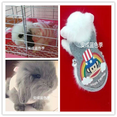 Rabbit Rabbit Dutch Pig Clothes Dwarf Rabbit Coeared Rabbit Clothes Living Pet Clothes 2017 Autumn Lovely