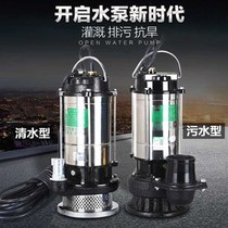 New 220V stainless steel agricultural deep well pump household self-priming pump water well small submersible pump high Z lift pumping water