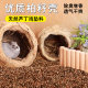 Cypress seed shell beds, rutin chicken deodorant fermentation bed, breathable and dry pet rutin Q chicken fermentation box mattress