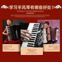 Parrot accordion 8 32 48 60 96A 120 bass three or four rows of reed key accordion for beginners to play