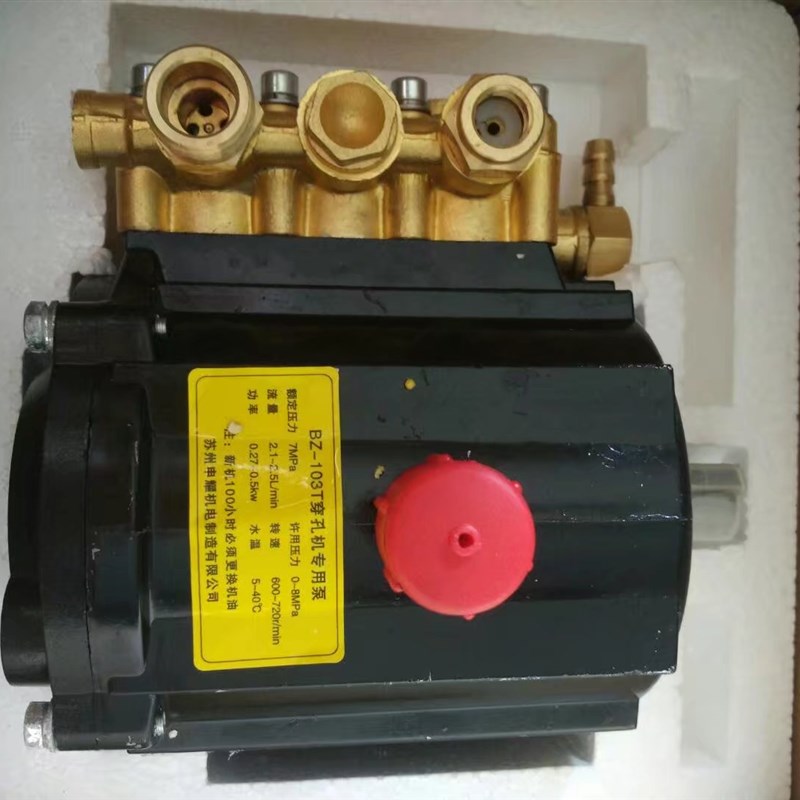 Special high-pressure water pump Suzhou Shenyao water pump BZ-103T-Taobao for punching machine Jinma Poma wearing machine