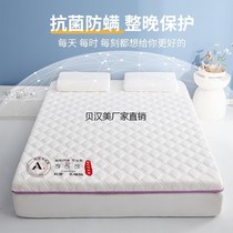 Tibet Xinjiang mattress soft cushion for home rental D autumn student dormitory single sponge mattress