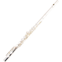 Left-hand flute b Backhand flute Instrument 16 holes for left-handers Closed hole Silver-plated Hazvi left-handed