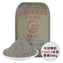 Cement silicate po42 5 university experiment y425 landscape waterproof leak repair quick drying hard early strength bagged ninety-seven
