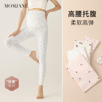 Pregnant Woman Autumn Pants Spring Autumn Winter Thin home Cotton Pregnancy Line Lining Pants Beating Bottom Inner Wear Big Code Woman Warm Thickening