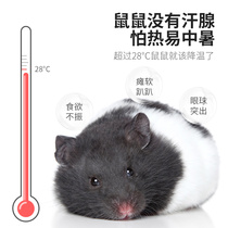 Quick-release hamster summer cooling supplies pet golden bear radiator plate igloo pad ice box small air-conditioned room glass