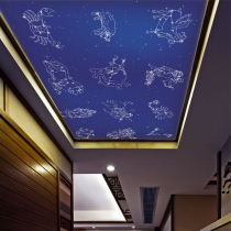 Starry sky art glass decoration ceiling corridor aisle ceiling lampshade acrylic translucent panel modeling light panel customization
