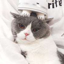 Douyins same electric massager for dogs and cats fully automatic head massager pet electric small paw massager