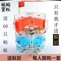 Douyin breeding palace furnishings observation box with lid ant castle oversized cage and S model breeding box bionic transparent