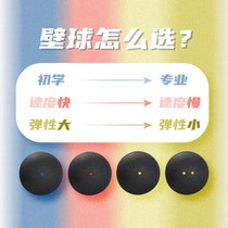 wils level n professional competition squash sex u learn into o training squash blue dot red dot double yellow dot canned wall