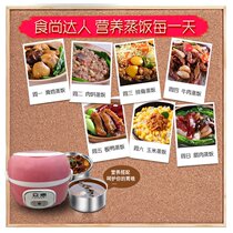 Crowdsourced Ceramic Saucepan Double Biliary Bilayer Multifunction Small Electronic Pot Electric Lunch Box Health Preservation P Anti-Burning Saucepan Soup Saucepan @ Pine