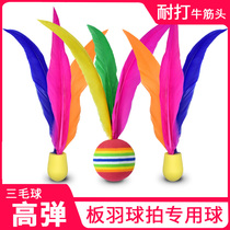 Badminton racket three-hair ball 10-pack badminton indoor badminton table tennis badminton shuttlecock shuttlecock racket
