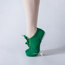 Spot green a canvas teacher shoelaces with ethnic dance shoes soft sole female dance shoes belly dance jazz ballet