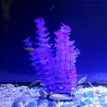 The fish tank inside is used to grow fish aquatic plants and plastic gold small tanks are sunk to the bottom to decorate the landscape and ecology underwater.