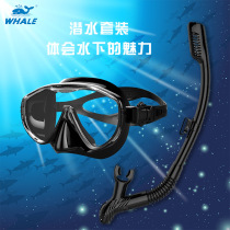 Cross - border adult diving tube suit Snorkeling swimming suit spot manufacturer