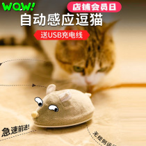 Zhenbi Cat Toy Self-Hi-Smart Little Mouse Automatically Teasing Cat Theorizer Intelligent Electric USB Charging Mouse