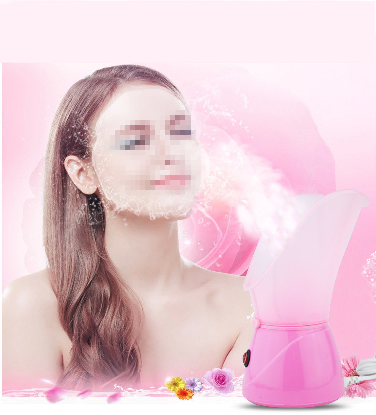 Steam Facial Device Image 3