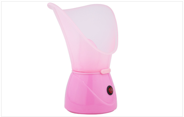 Steam Facial Device Image 1