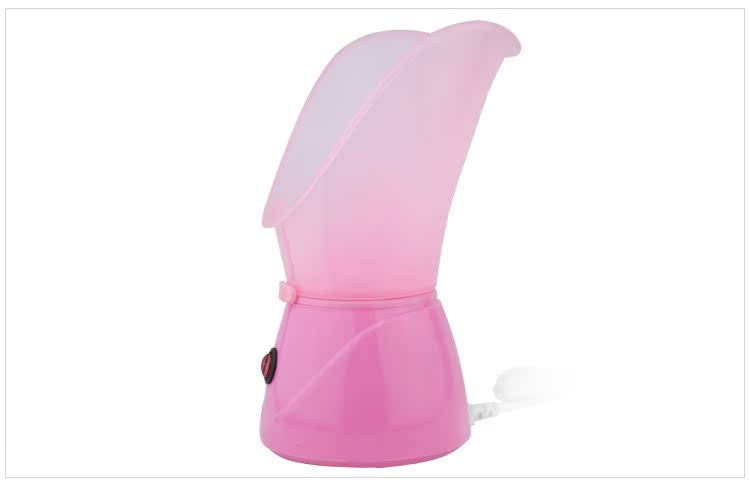 Steam Facial Device Image 2