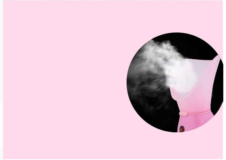 Steam Facial Device Image 5