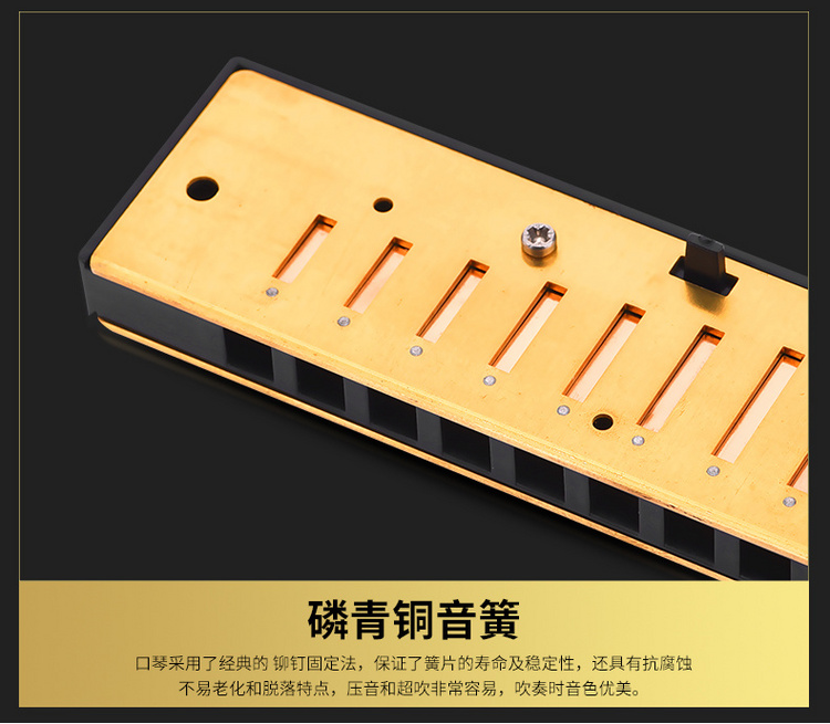 Đức 10 lỗ C blues nhạc cụ blues mười lỗ trưởng thành học sinh trẻ em người mới bắt đầu hòa âm - Nhạc cụ phương Tây đàn guitar morris