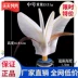 Thi đá cầu thể dục thể thao nữ với dụng cụ thể dục thể thao ngoài trời rèn luyện sức dẻo dai và khả năng chống đá cho trẻ khỏe - Các môn thể thao cầu lông / Diabolo / dân gian