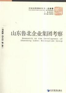 3337396|山东鲁北企业集团考察
