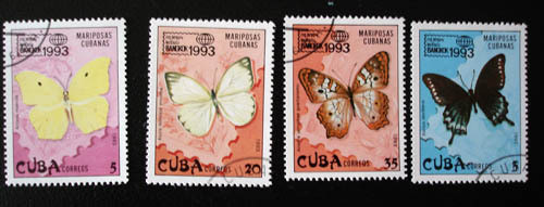 Cuba butterfly 4 pins