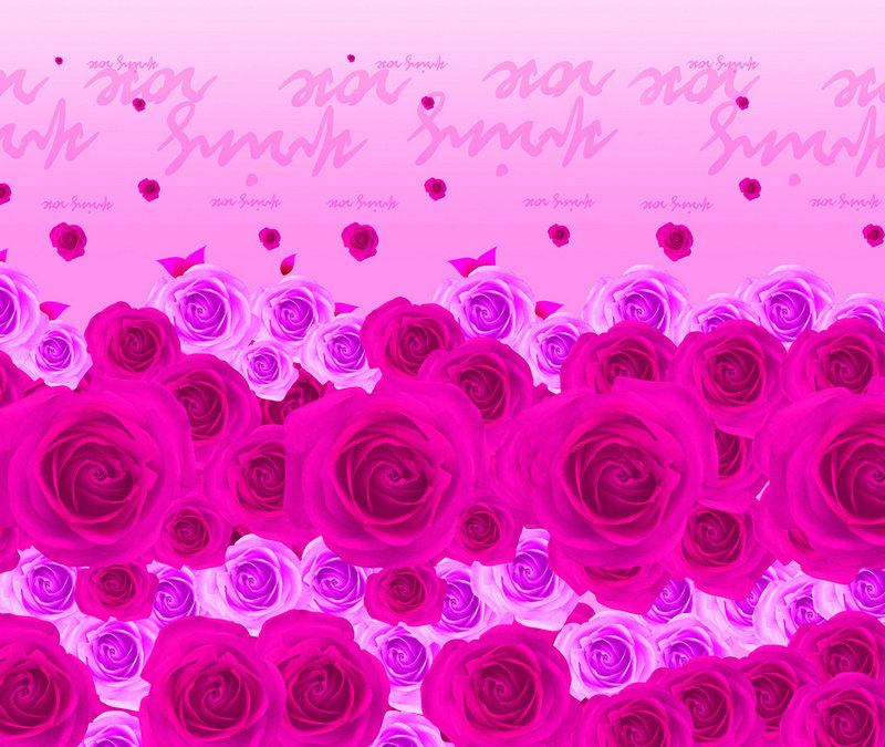 ������ҵ��þ���Ͻ�ֻ�������ӡд����������sg181