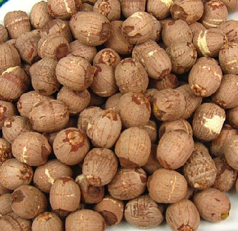 Tongjiang Natural Lotus Pond Red Lotus Seed Promotion 500g