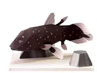 Full 68 model Mô hình giấy thủ công 3D DIY Underwater World Aquarium Coelacanth 2 với mô tả giấy 	mô hình gấp giấy