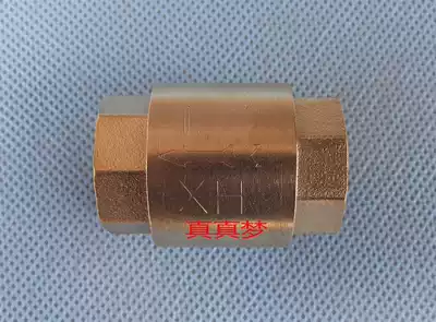 Xiuhui forged brass vertical check valve Check valve check valve All copper spring type DN15-DN50